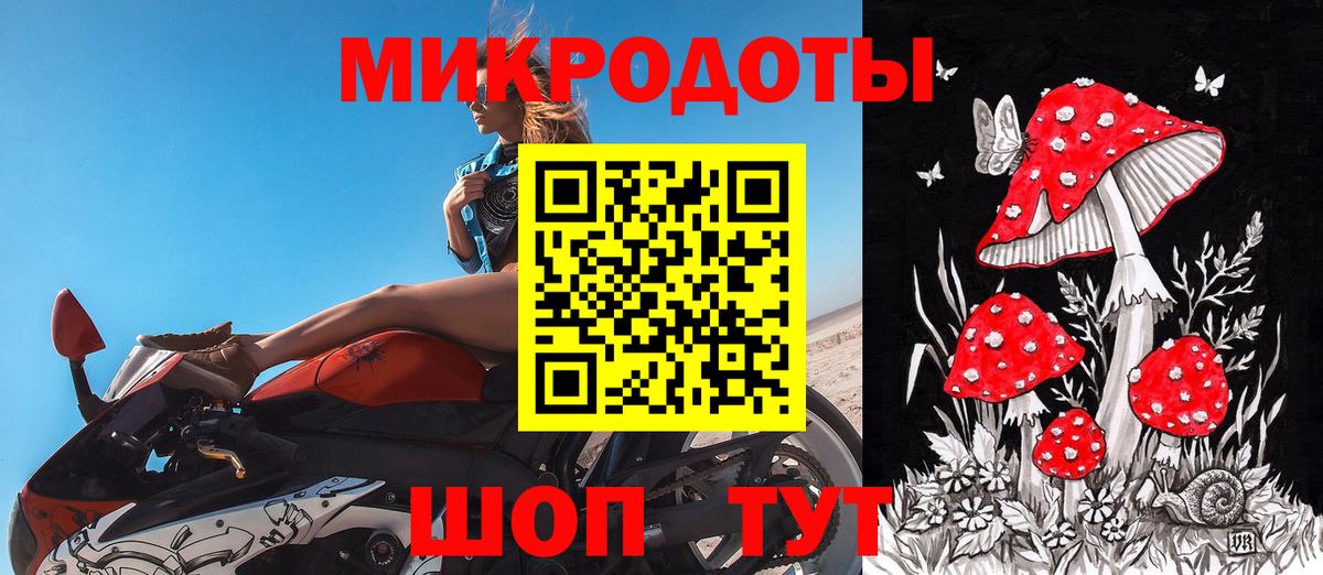 Псилоцибиновые грибы Cubensis Хасавюрт